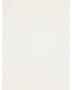 Faliero Sarti スカーフ - サムネイル2