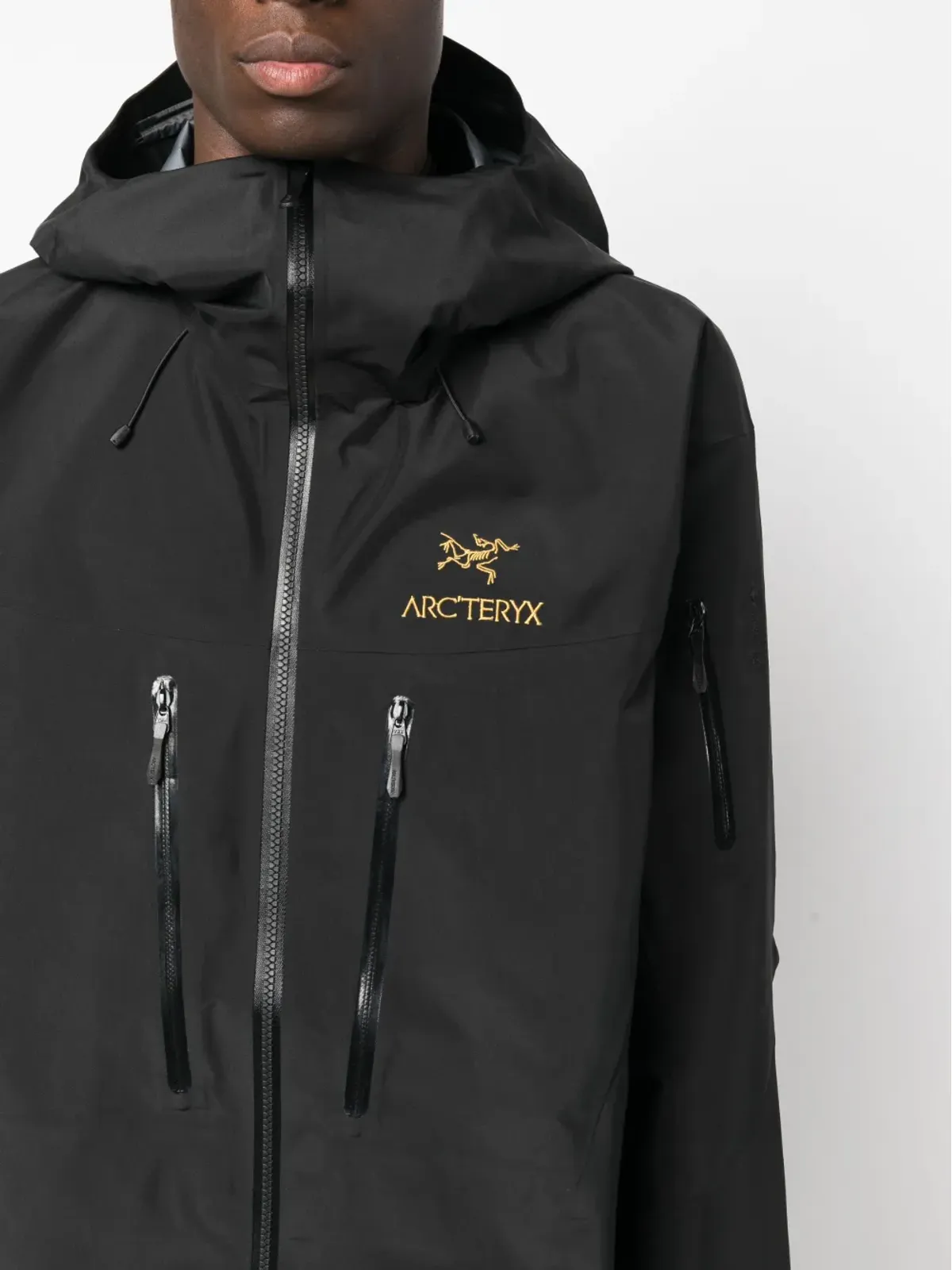 Arc'teryx Alpha SV ゴアテックス フード付きジャケット - 画像5