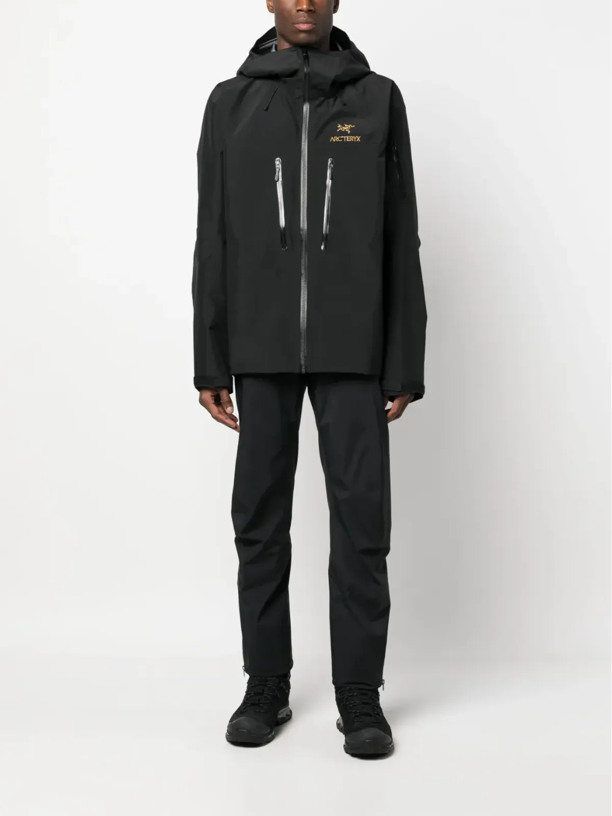 Arc'teryx Alpha SV ゴアテックス フード付きジャケット - 画像2