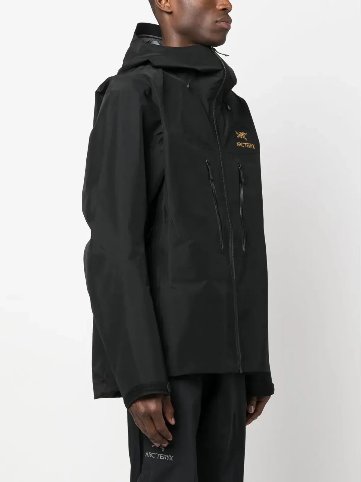 Arc'teryx Alpha SV ゴアテックス フード付きジャケット - 画像3
