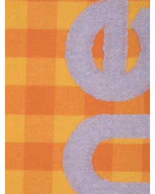 Acne Studios チェック柄ウールスカーフ - サムネイル2