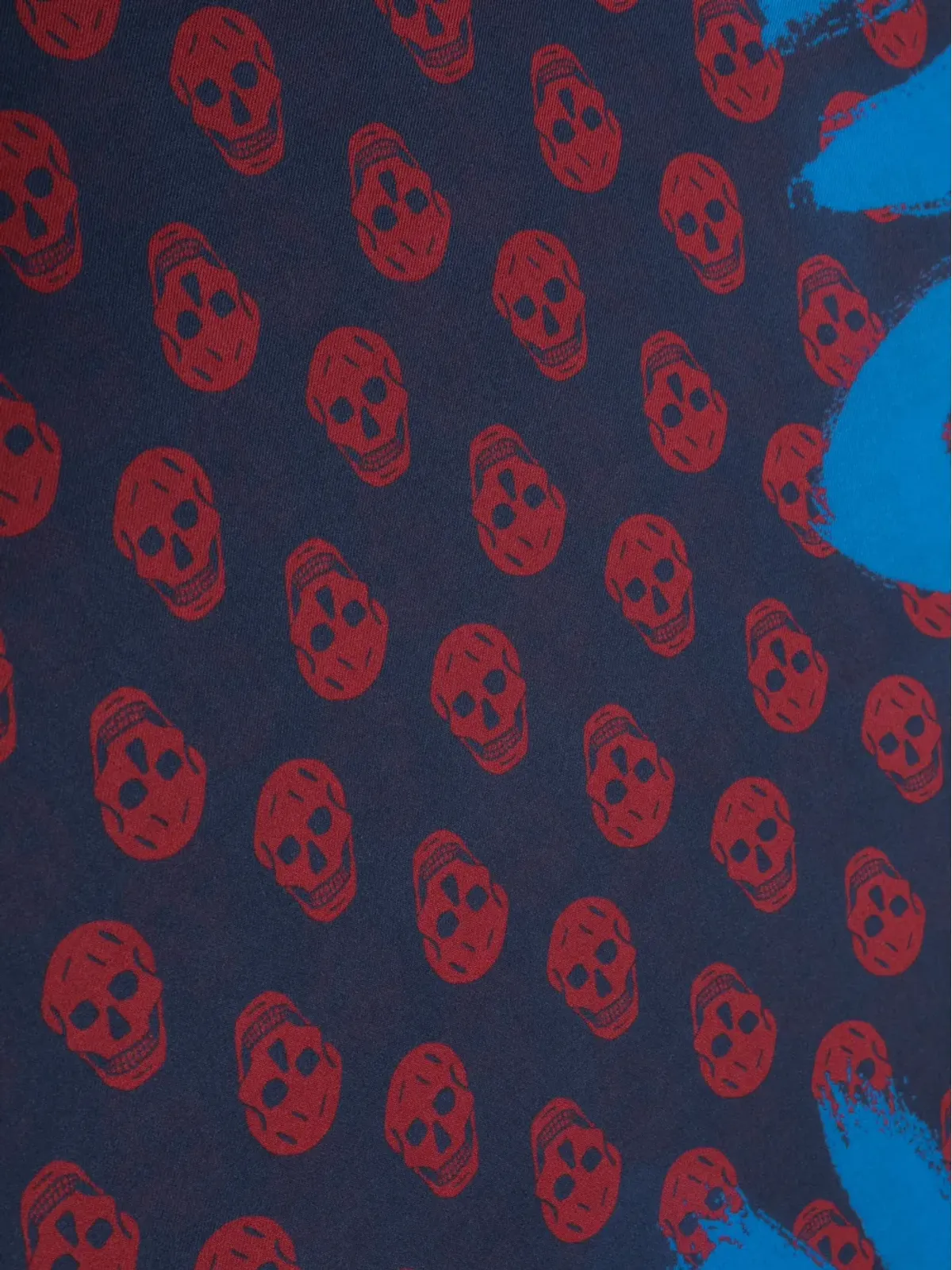 Alexander McQueen グラフィティプリント フリンジスカーフ - 画像2