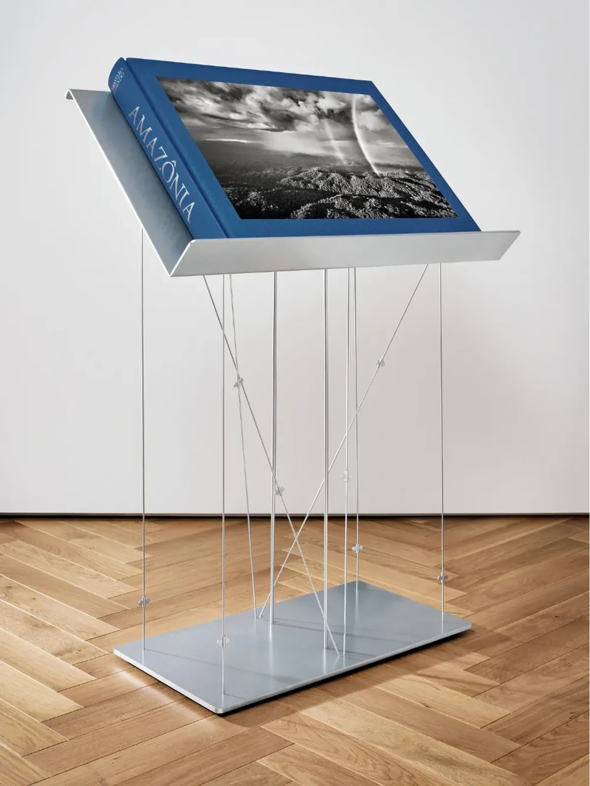 TASCHEN アマゾン by Sebastian Salgado - Blue - 画像3