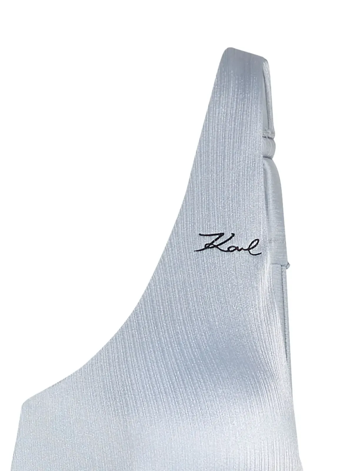 Karl Lagerfeld - 画像2