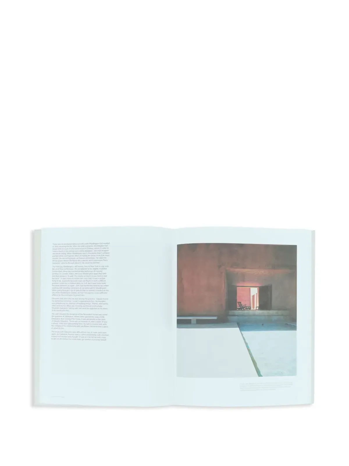 Phaidon Press グラフィックプリントブック - Neutrals - 画像4