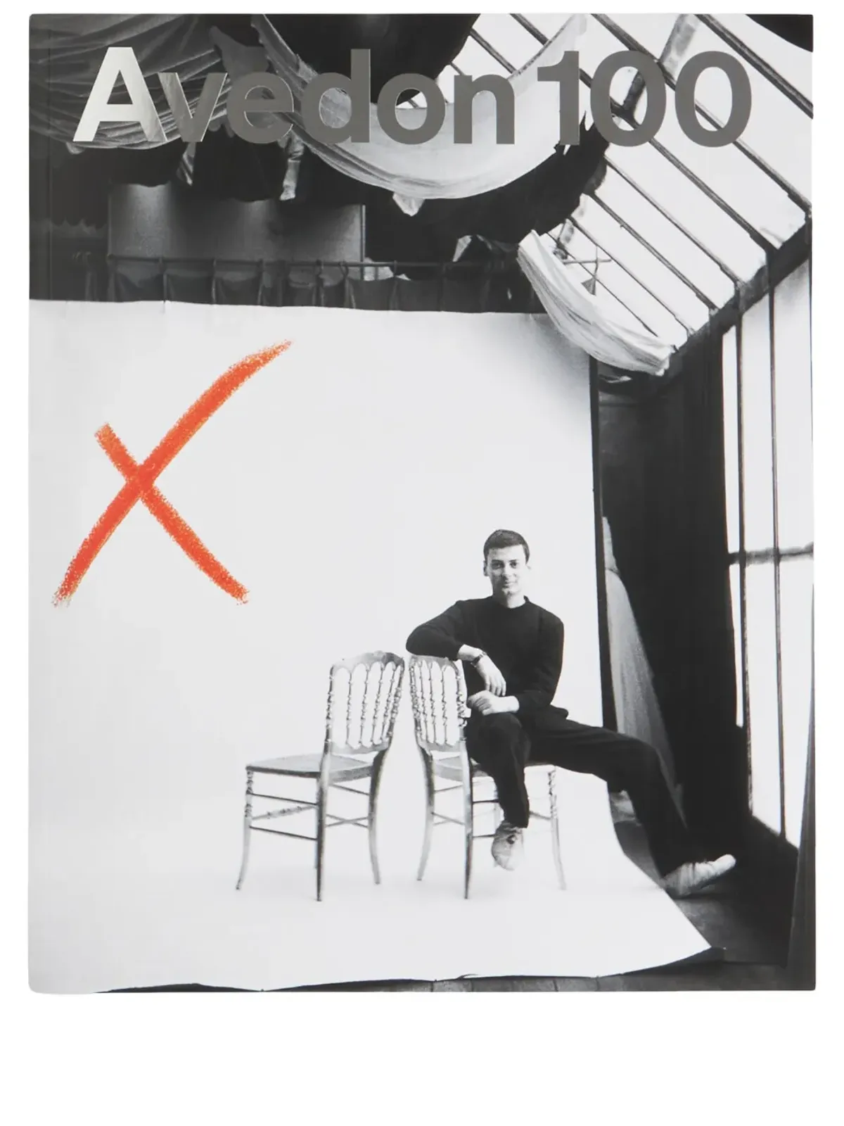 Rizzoli Avedon 100 ペーパーバック・ブック - 画像1