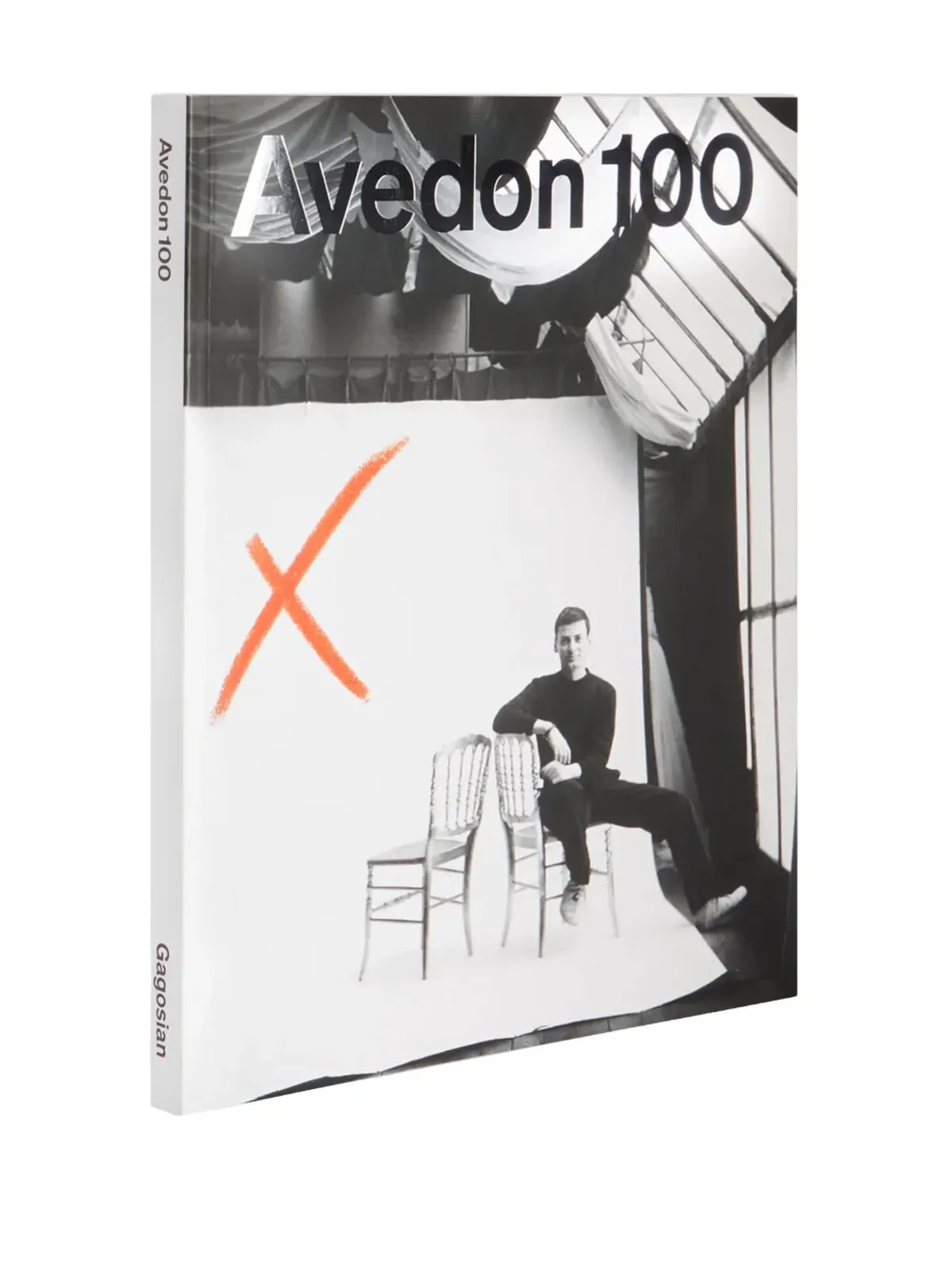 Rizzoli Avedon 100 ペーパーバック・ブック - 画像2