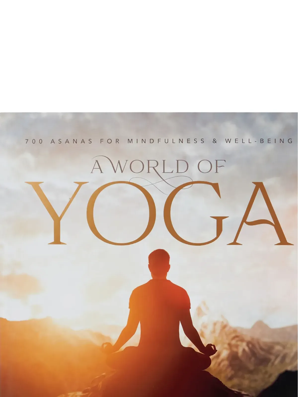 Rizzoli A World of Yoga by Leo Lourdes hardcover book - Orange - 画像3