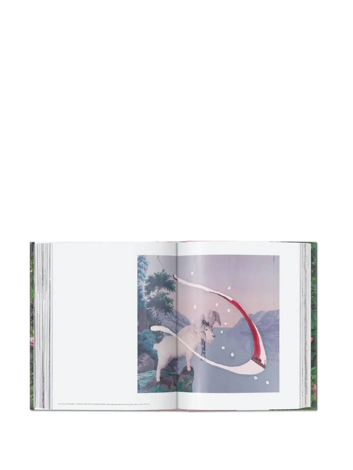TASCHEN ジュリアン・シュナーベル ハードカバーブック - Green - 画像4