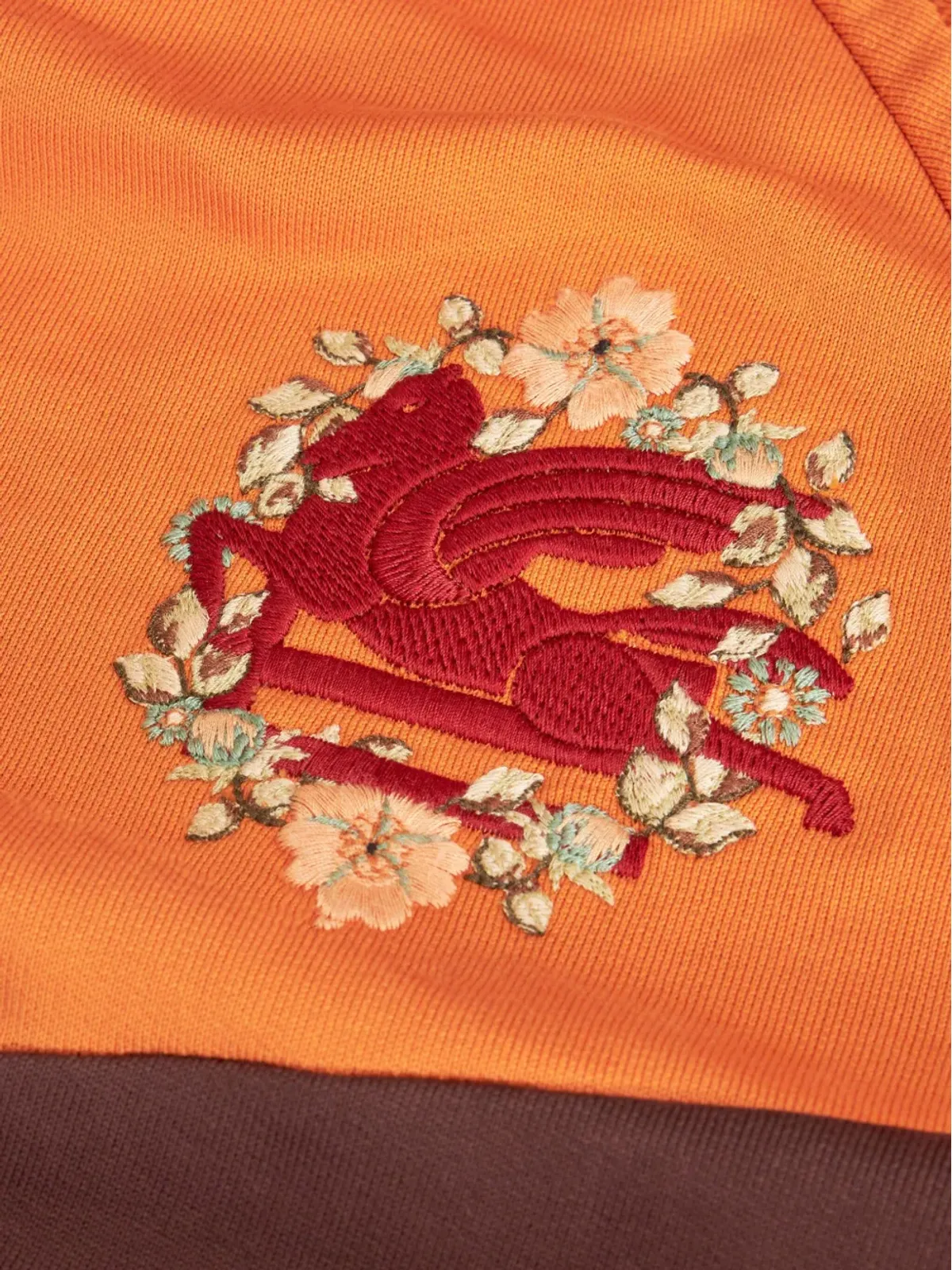 ETRO Pegaso刺繍入りコットンフーディ ブラウン - 画像5