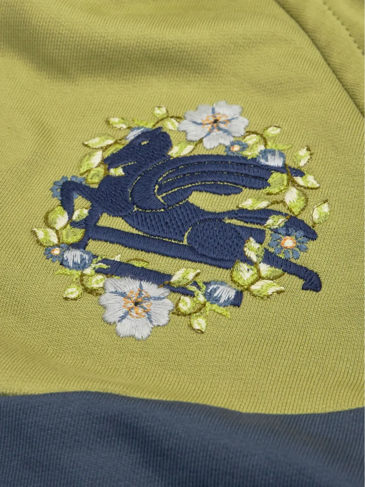 ETRO ペガソモチーフ コットン フーディー - ブルー - 画像5
