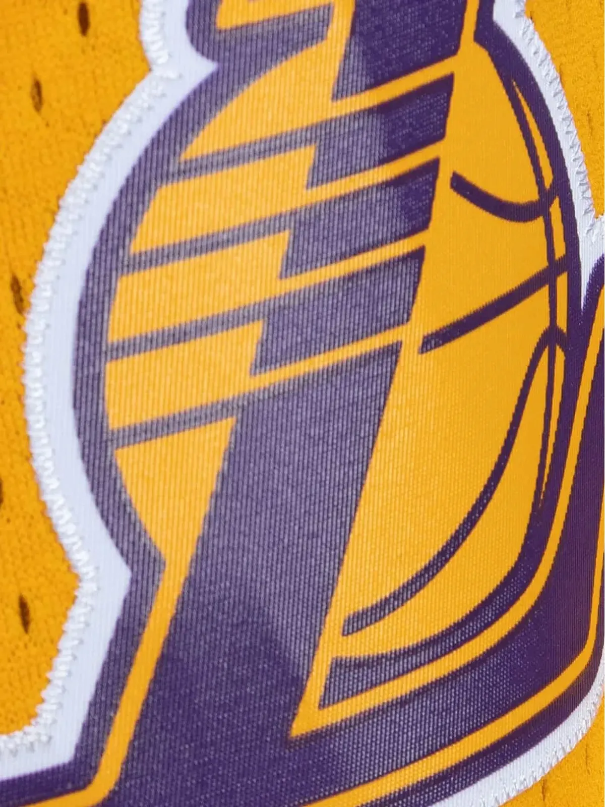Mitchell & Ness NBA LA Lakers 2009 Team Marble Swingman ショーツ パープル - 画像3