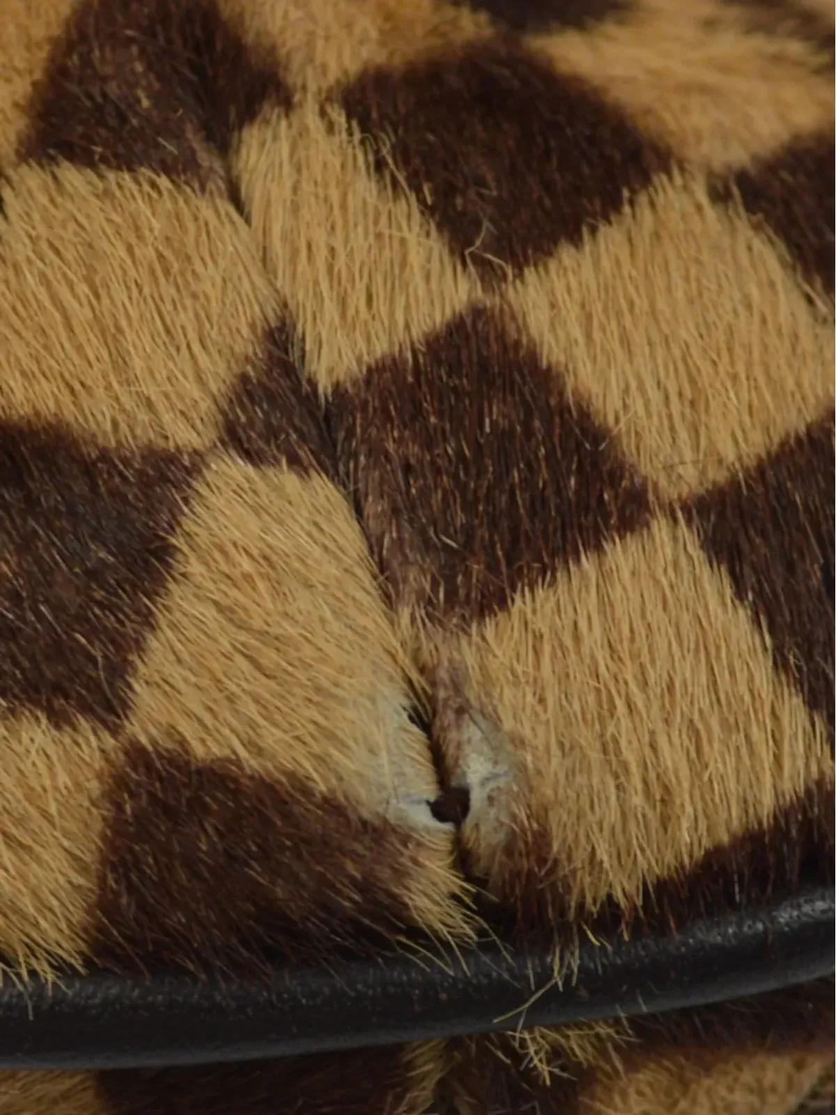 Louis Vuitton ビンテージ 2002 Tigre Sauvage トートバッグ - ブラウン - 画像5