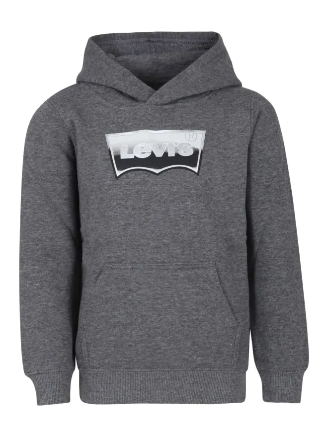 Levi's Kids Levi's Kids Batwing Fill フーディの商品画像