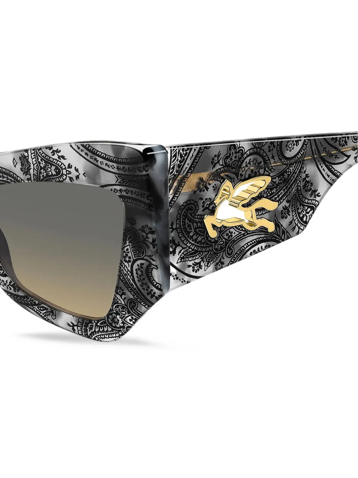 ETRO エトロマニア オーバーサイズフレーム サングラス - 画像4
