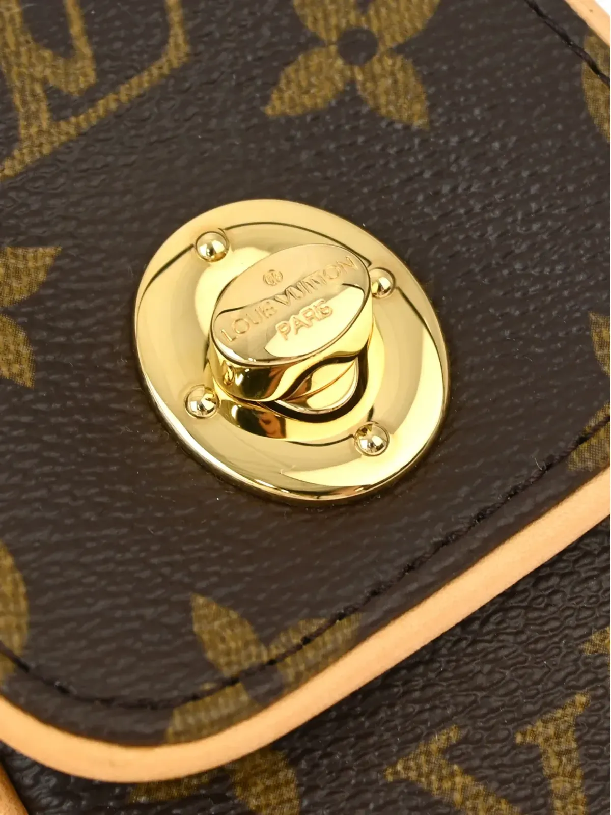 Louis Vuitton ビンテージ 2006 トゥルム ポーチ - ブラウン - 画像3
