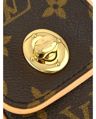 Louis Vuitton ビンテージ 2006 トゥルム ポーチ - ブラウン - サムネイル3