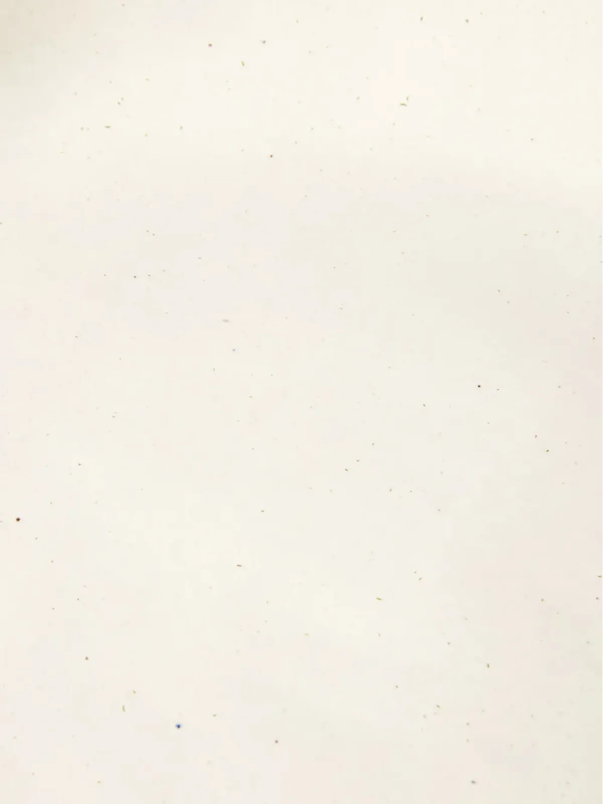 The Conran Shop ヘンレー オーバサイズ サービングプレート - 画像3