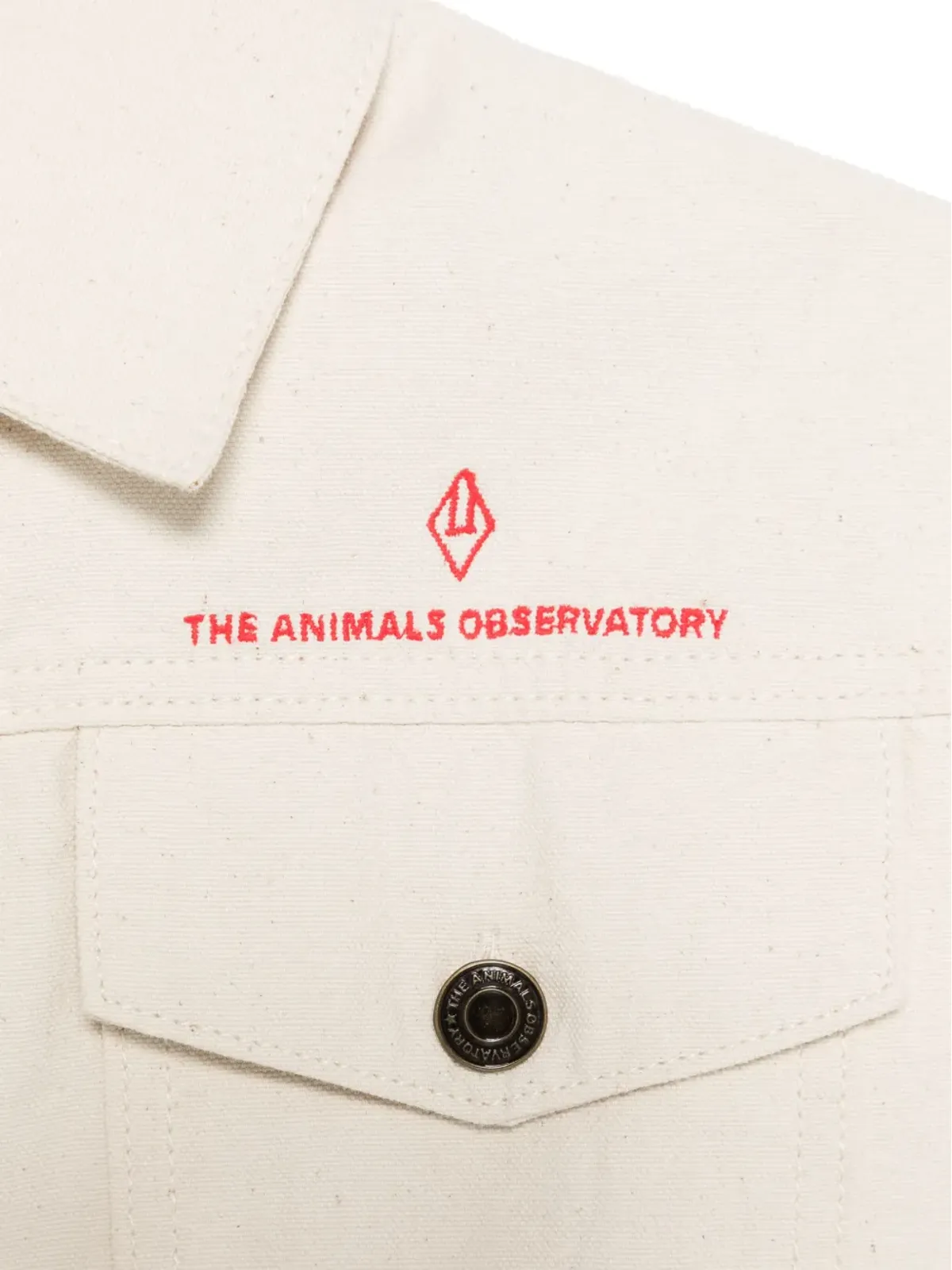 The Animals Observatory ホグ ジレ - 画像3