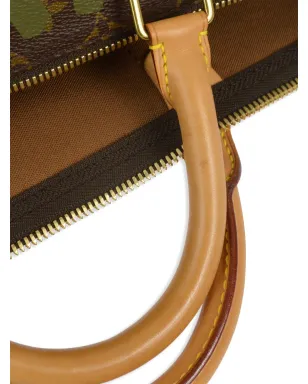 Louis Vuitton ビンテージ x スティーブン・スプラウス 2001 Keepall 50 トラベルバッグ - グリーン - サムネイル5