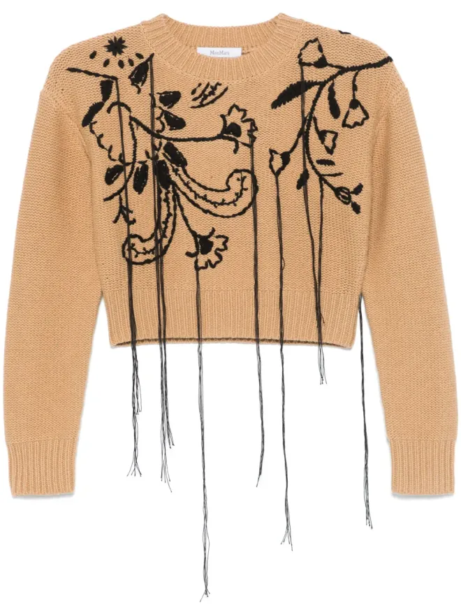 Max Mara Max Mara 刺繍入りセーター - ブラウンの商品画像