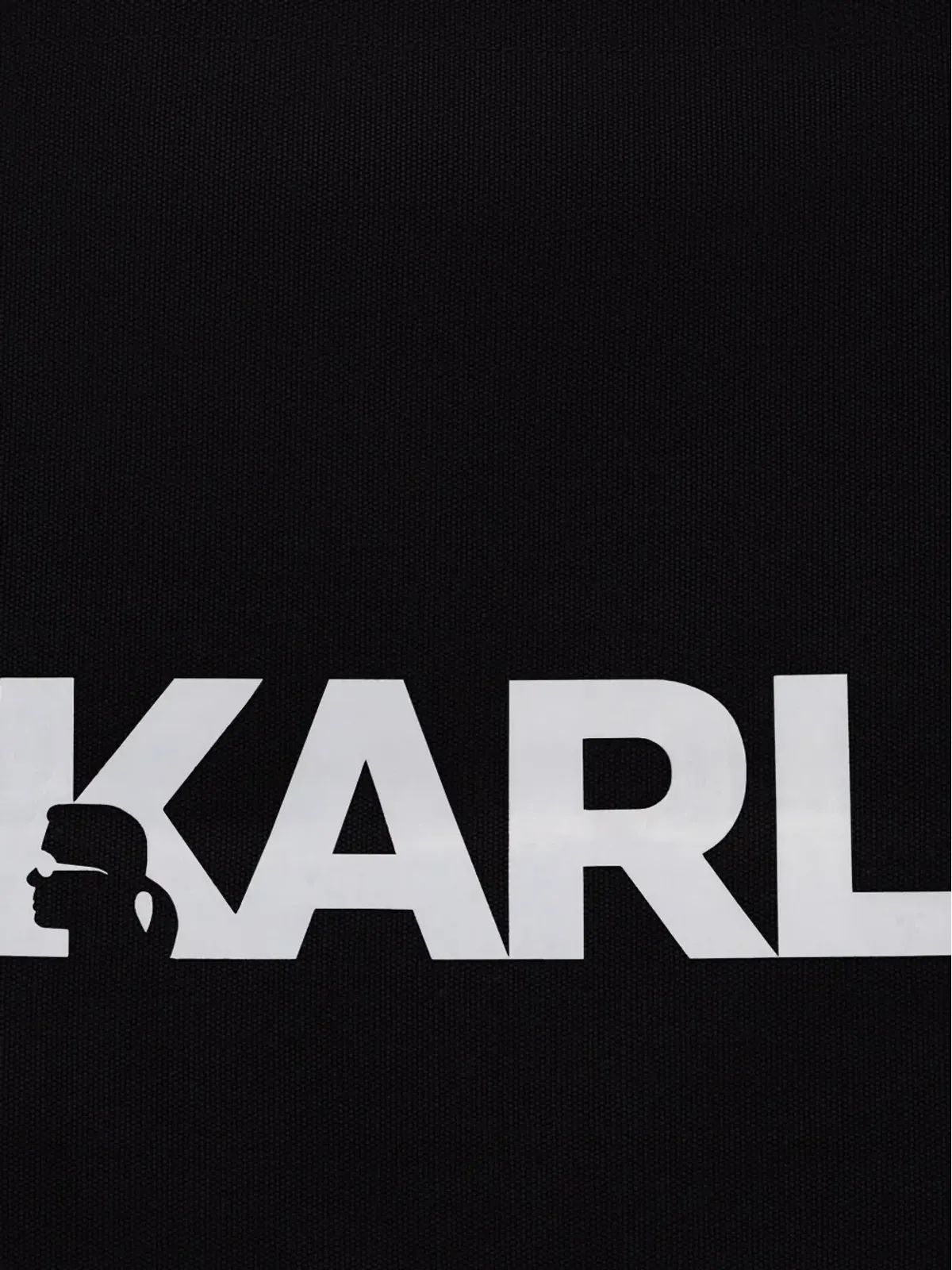 Karl Lagerfeld - 画像5