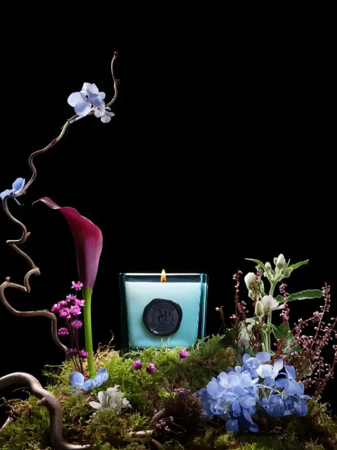 VILLA PARADISO COSMETICS VILLA PARADISO COSMETICS 香り付きキャンドルの商品画像
