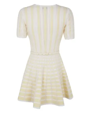 Elisabetta Franchi ストライプ柄ニットドレス - イエロー - サムネイル2