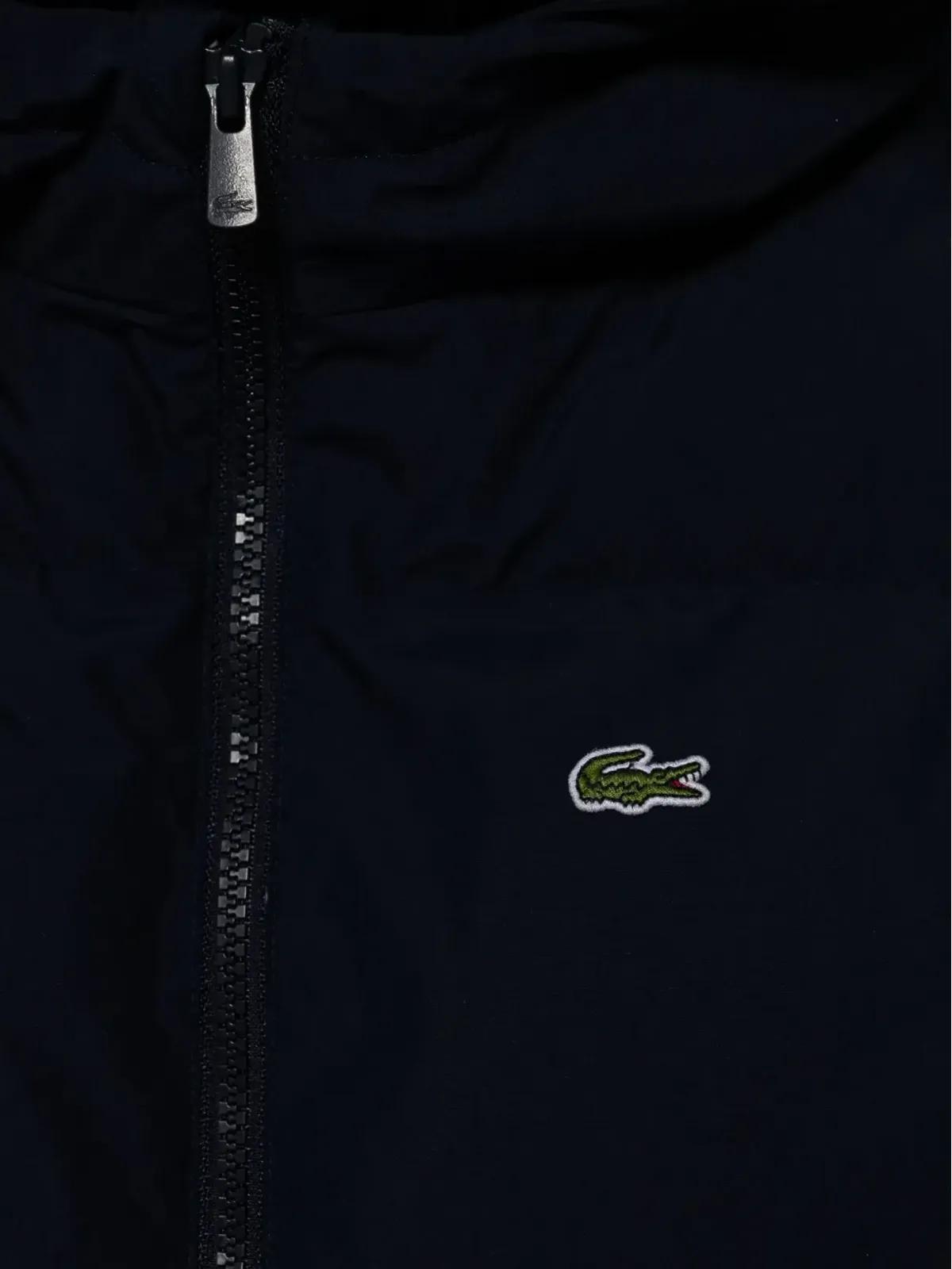 Lacoste Kids フード付き中綿ジャケット - 画像3