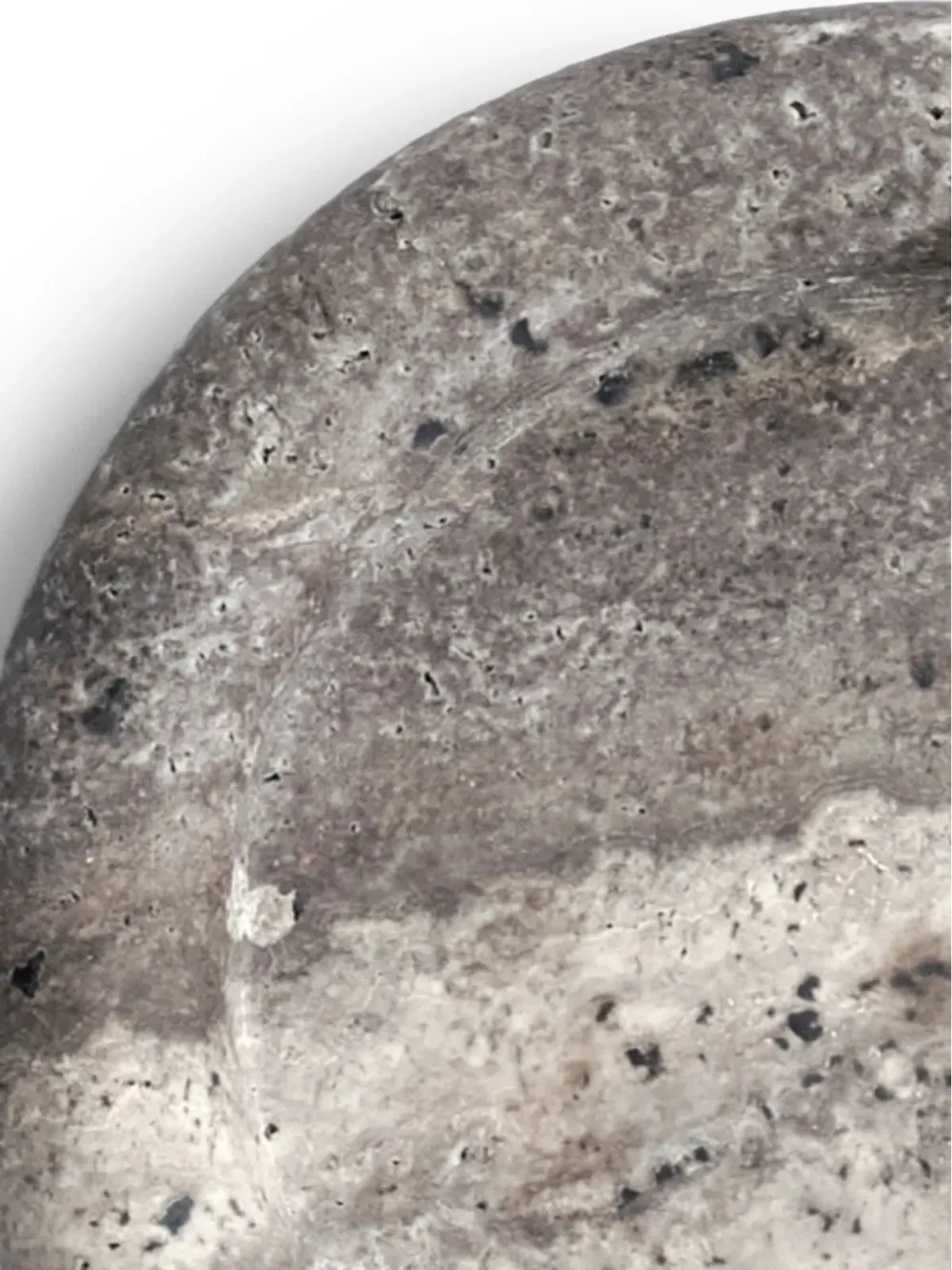 101 Copenhagen エンケイトレイ - 画像2