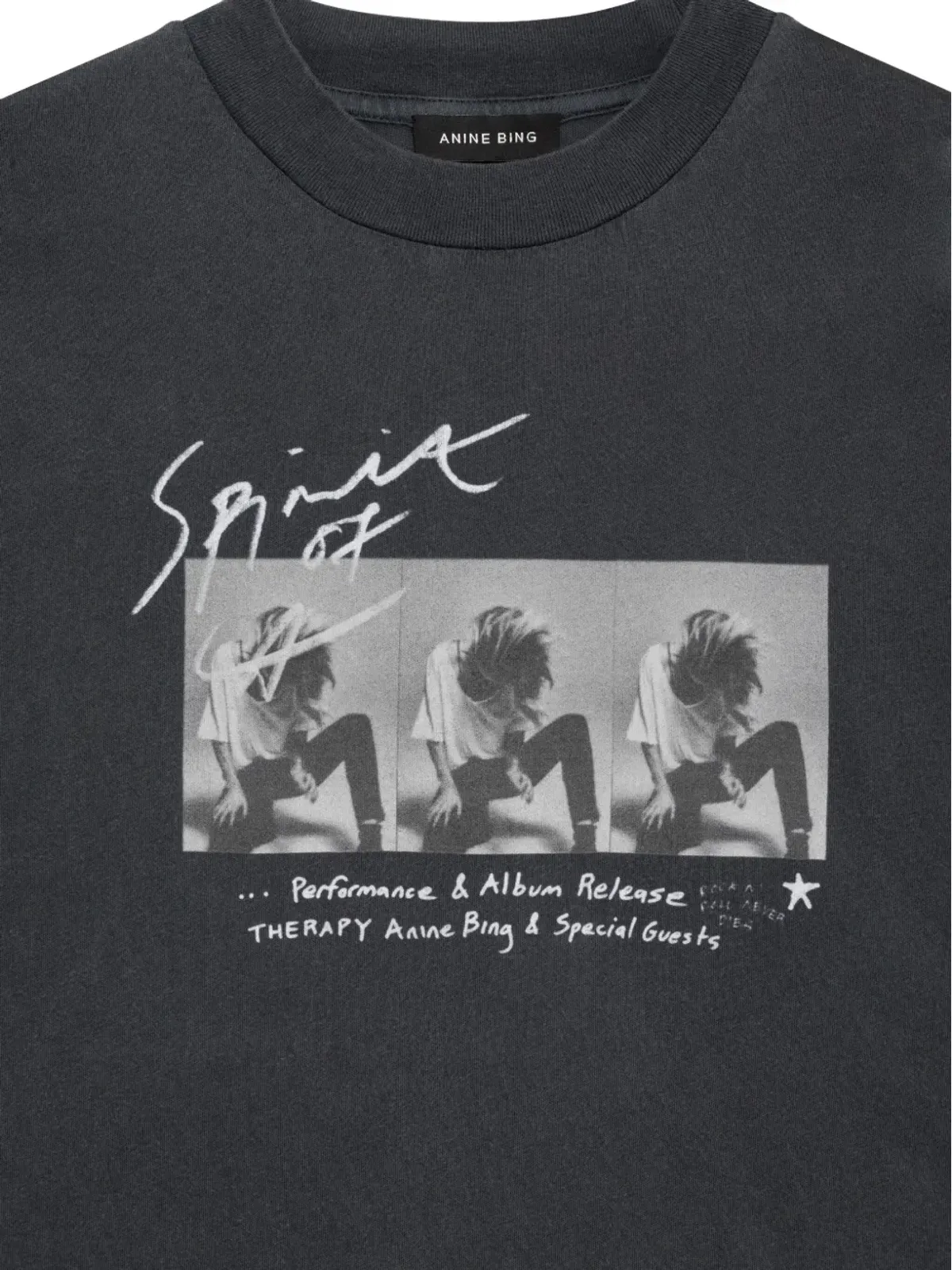 ANINE BING Ashton グラフィックプリントTシャツ グレー - 画像4