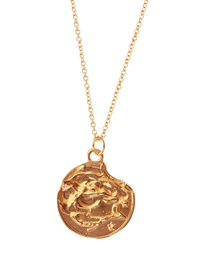 Alighieri Alighieri The Pisces Medallion ネックレスの商品画像