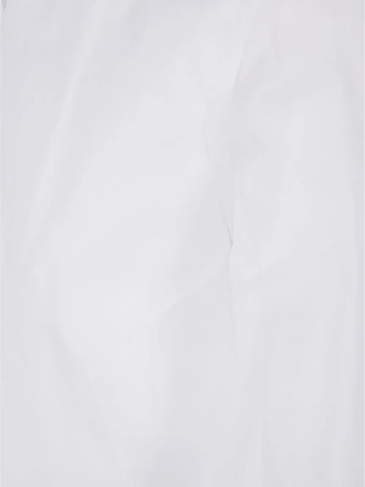 Gentry Portofino クラシックカラーコットンシャツ - 画像3