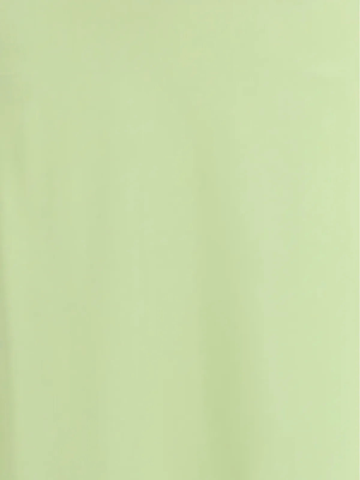 Kristina Ti straight maxi skirt - Green - 画像3
