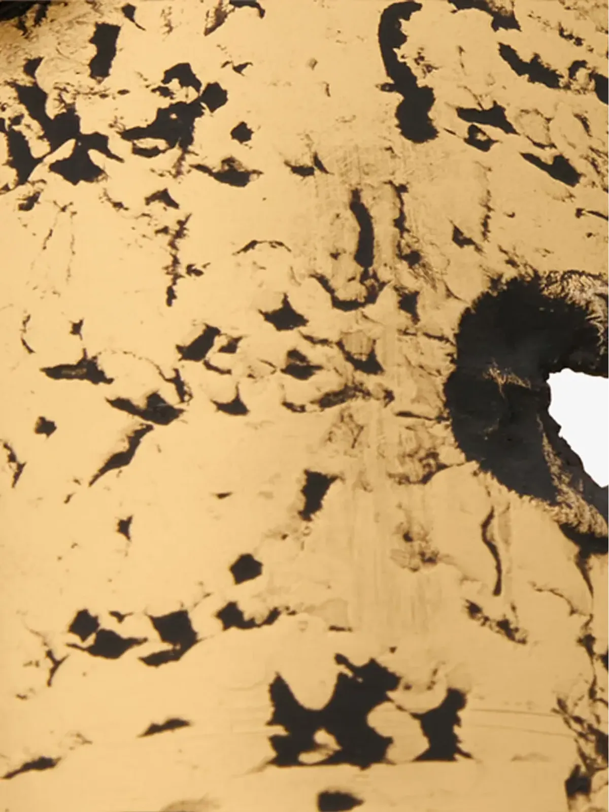 Roberto Cavalli 蛇モチーフのカフブレスレット - Gold - 画像5