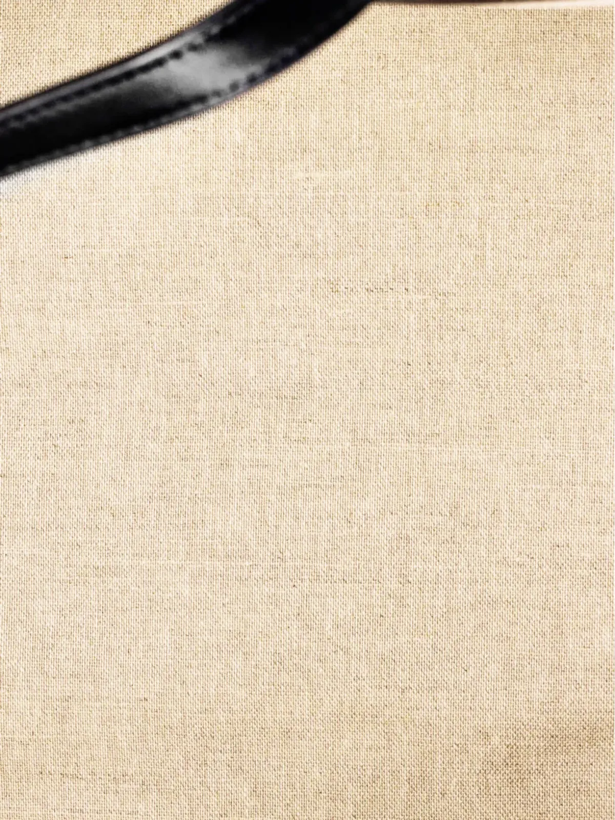 Celine Pre-Owned 縦型スクエア カバス トート キャンバス×レザー ラージショルダーバッグ - 画像5