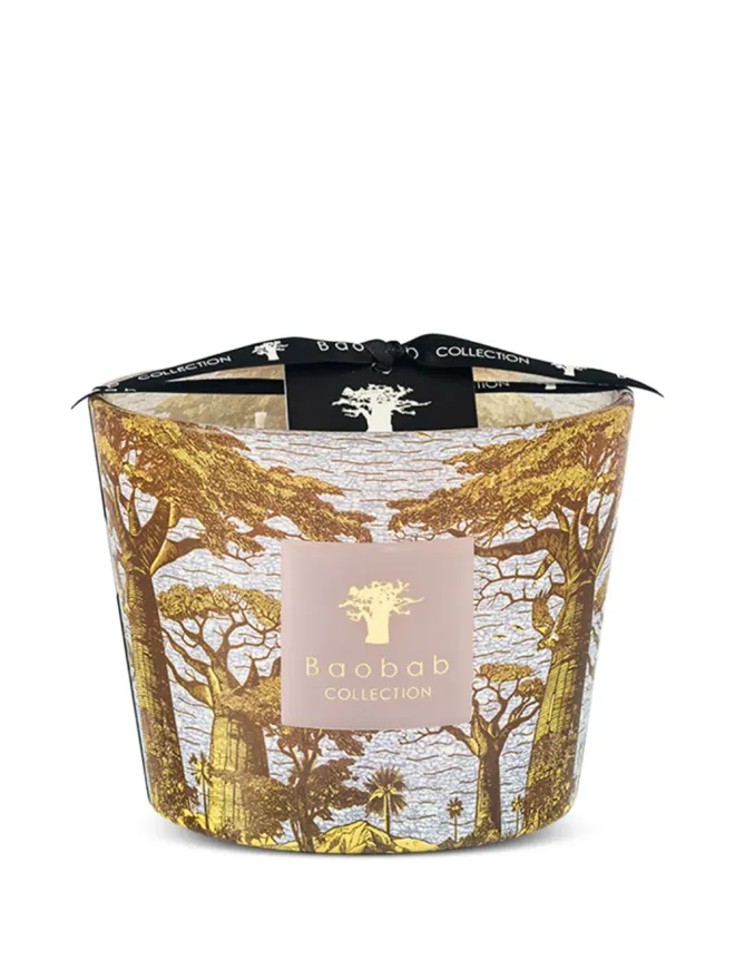 Baobab Collection Baobab Collection ボウンカニ ツリープリント キャンドルの商品画像