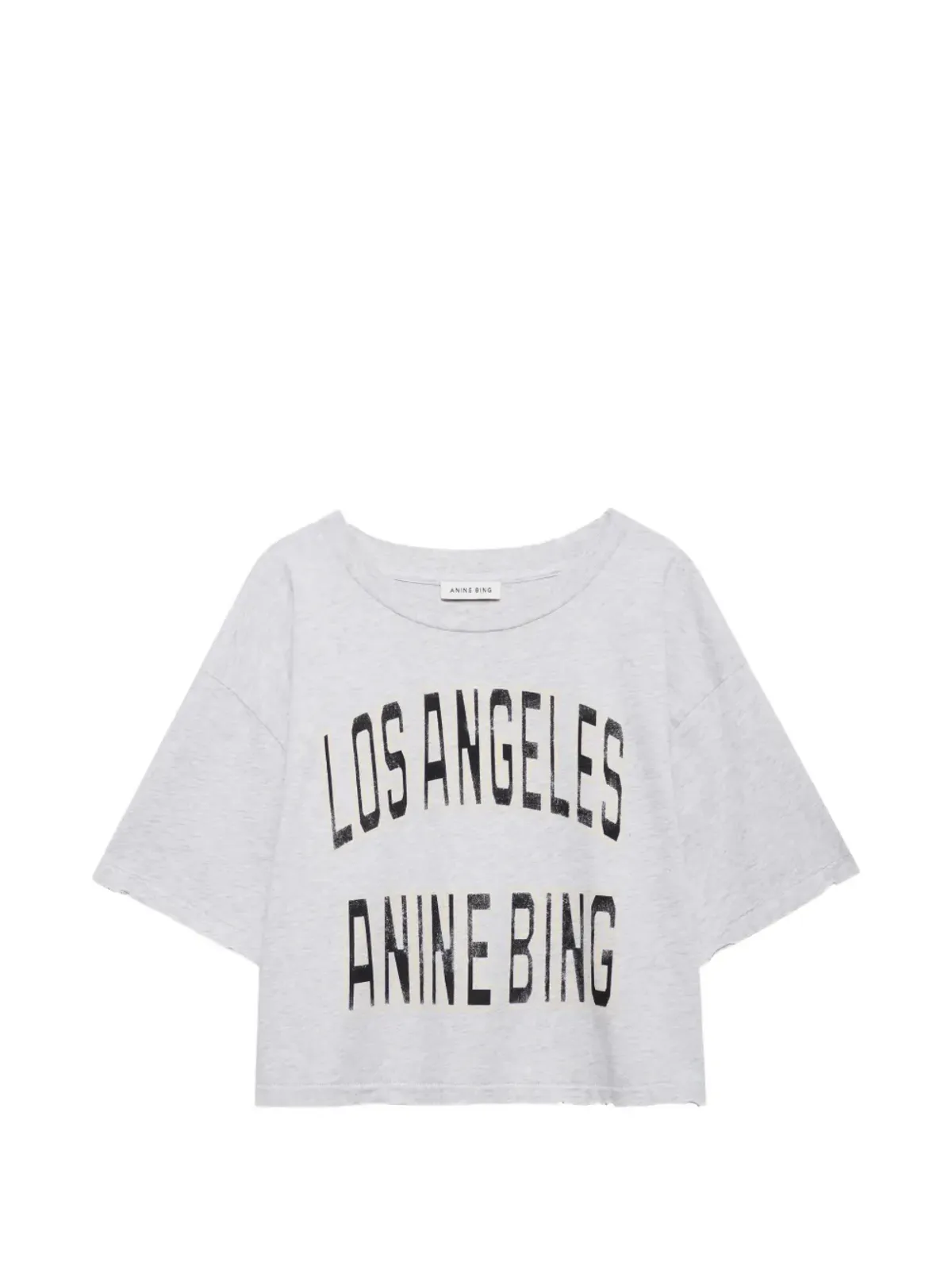 ANINE BING プリントTシャツ（グレー） - 画像1