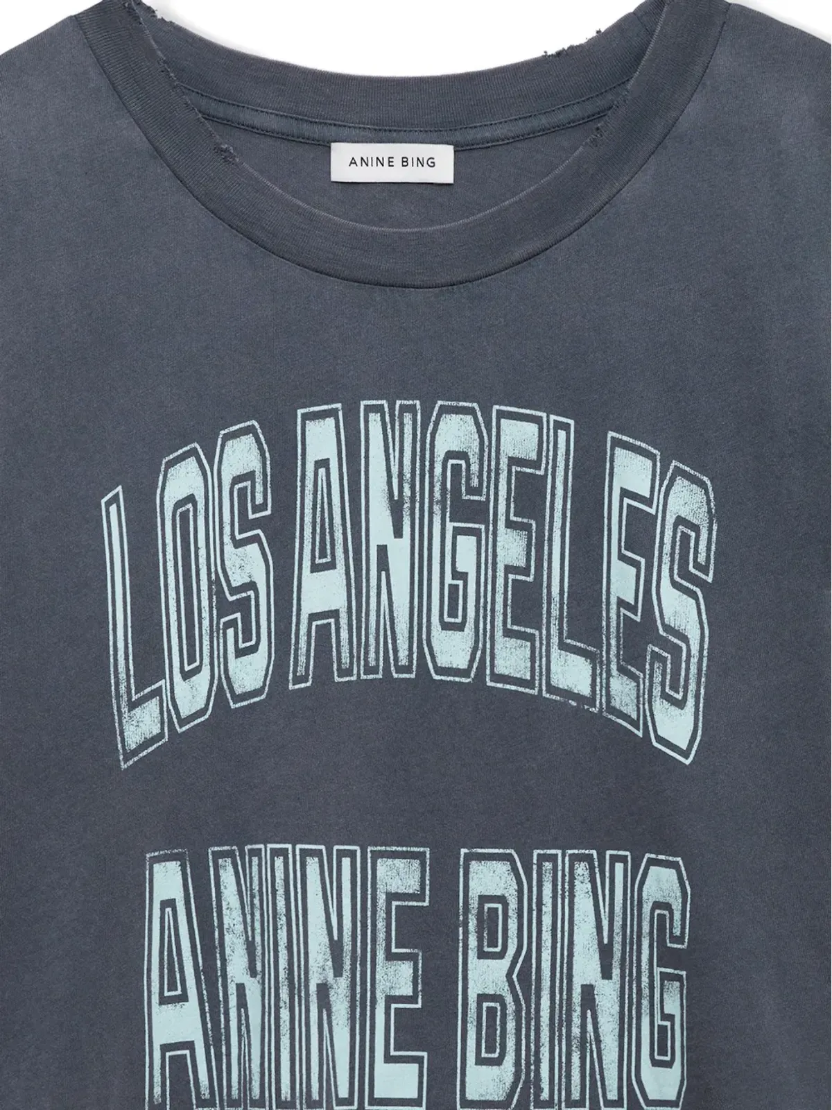 ANINE BING ジョニー クロップド Tシャツ - グレー - 画像4