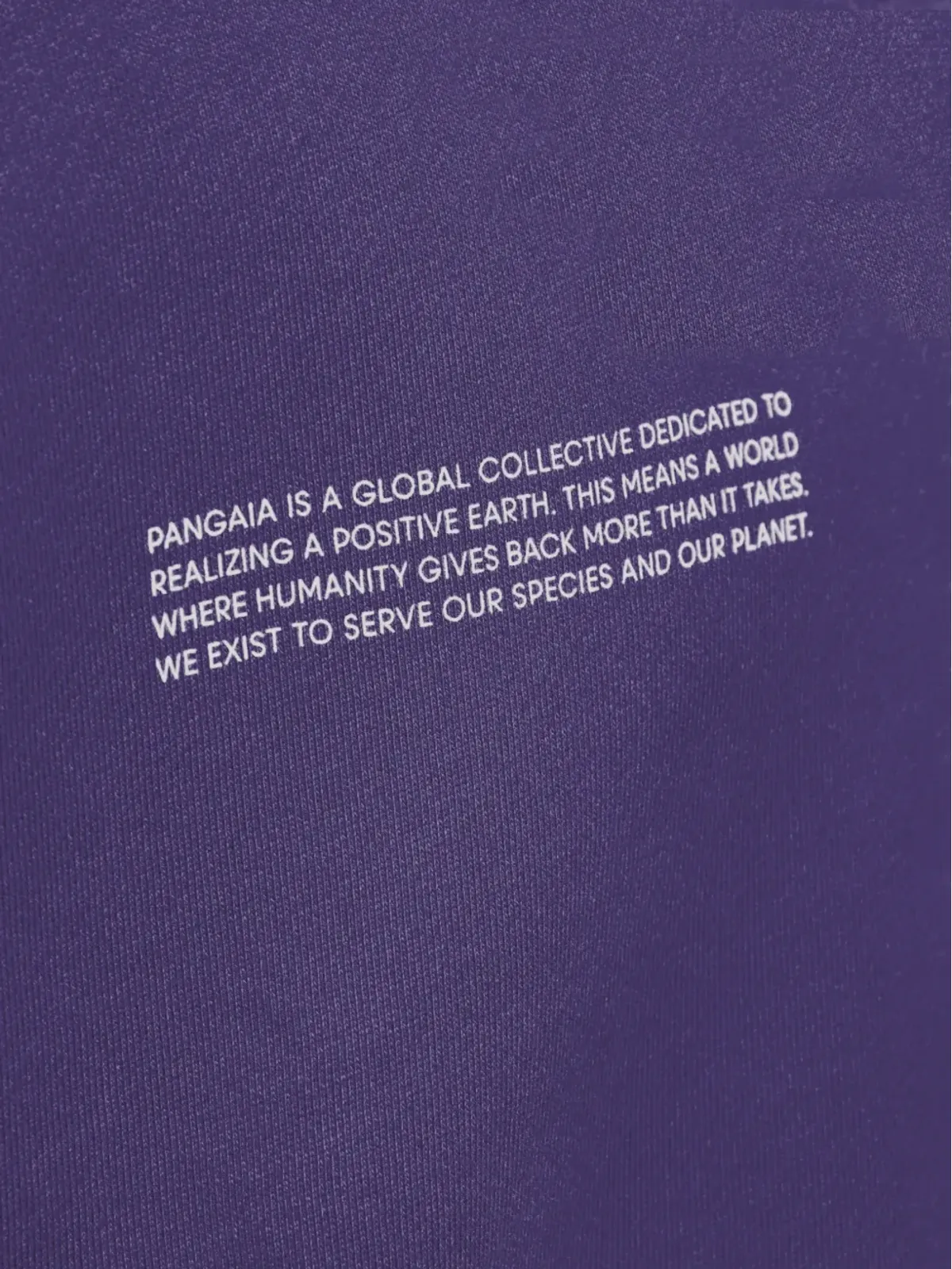 Pangaia クルーネック長袖スウェット - 画像2