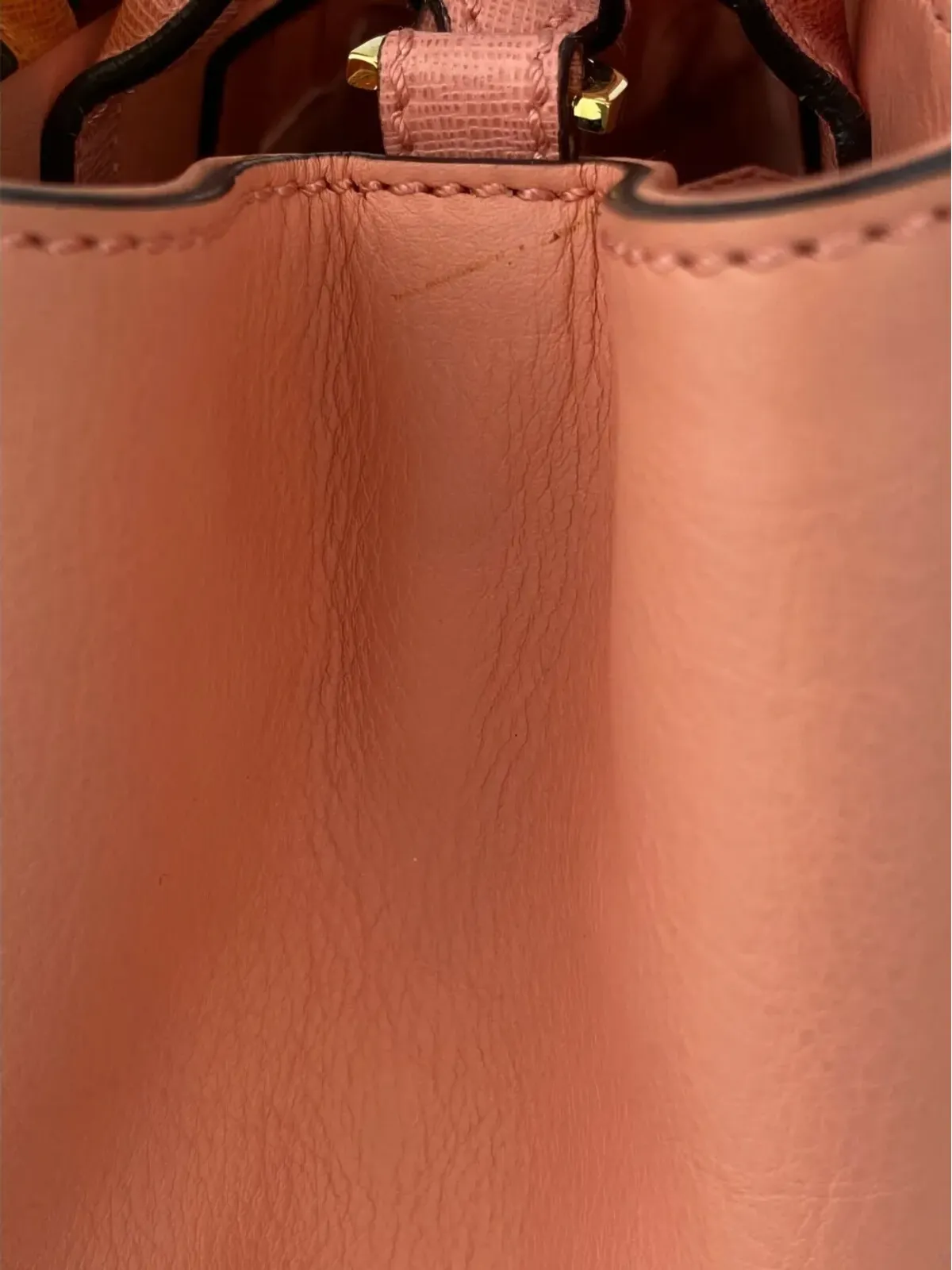 Fendi Pre-Owned ペティート ヴィテロ エリート フラミンゴ レザー トートバッグ - 画像5