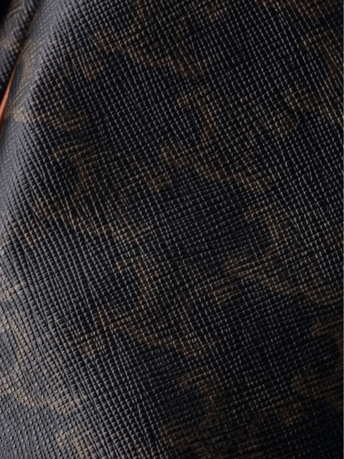 Celine Pre-Owned Triomphe コーテッドキャンバス ミディ バケットバッグ - 画像5