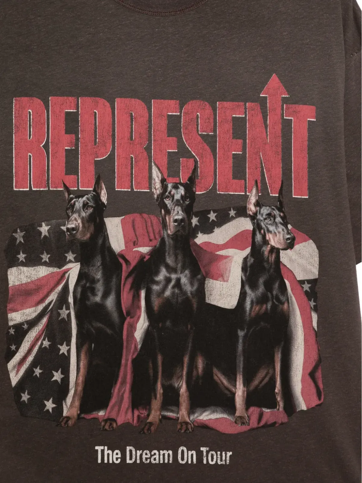 Represent Dream On Tour 犬グラフィック Tシャツ - 画像3