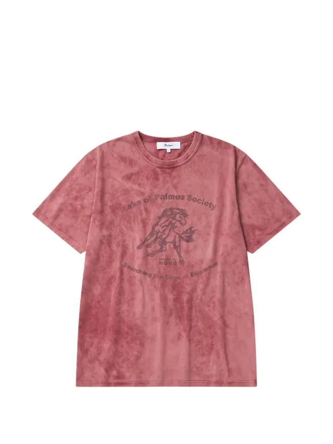 Palmes Palmes レイク グラフィック Tシャツ - ピンクの商品画像