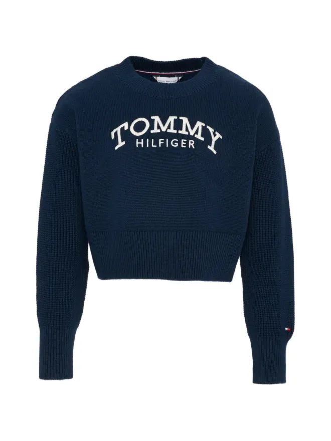 Tommy Hilfiger Junior Tommy Hilfiger Junior ロゴ クルーネックセーターの商品画像