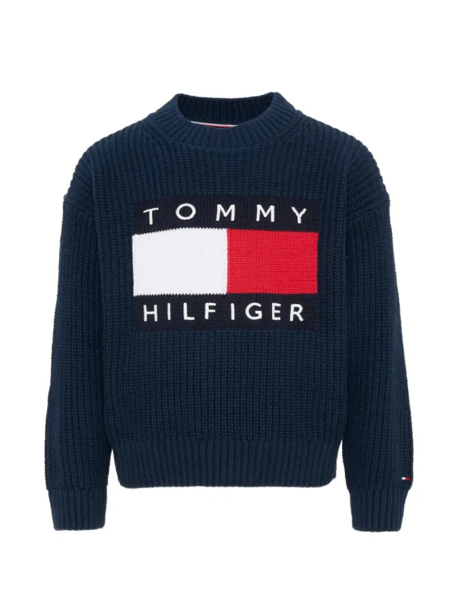 Tommy Hilfiger Junior Tommy Hilfiger Junior ヘリテージフラグ ニットセーターの商品画像