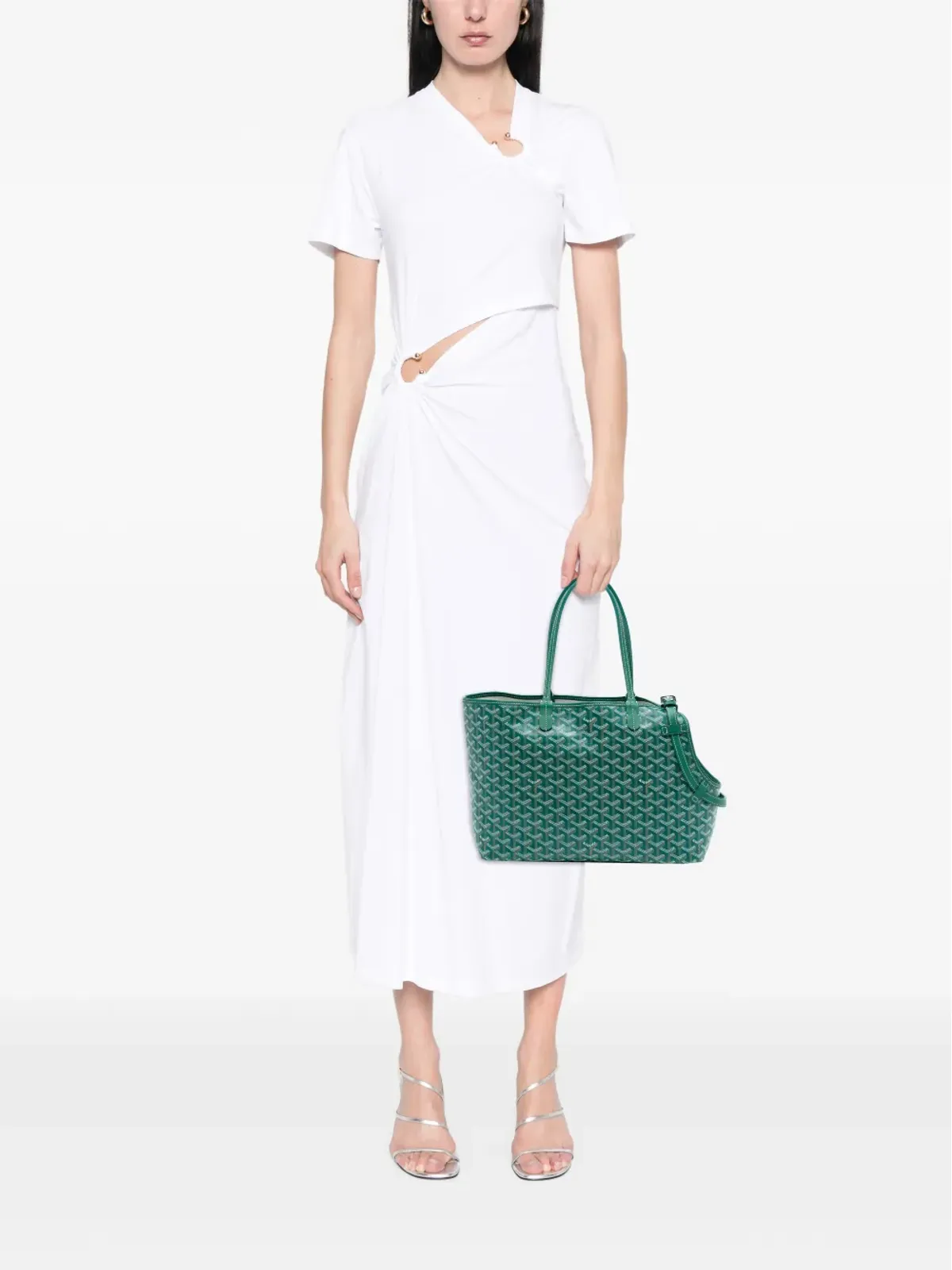 Goyard Pre-Owned ペットキャリア トラベルバッグ - 画像2