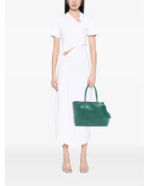 Goyard Pre-Owned ペットキャリア トラベルバッグ - サムネイル2