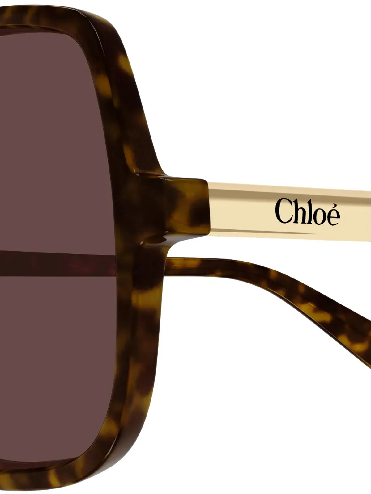 Chloé Eyewear オーバーサイズ ブラウンレンズ ジオメトリカル アセテート サングラス HAVANA-HAVANA-BROWN - 画像3