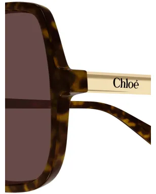 Chloé Eyewear オーバーサイズ ブラウンレンズ ジオメトリカル アセテート サングラス HAVANA-HAVANA-BROWN - サムネイル3